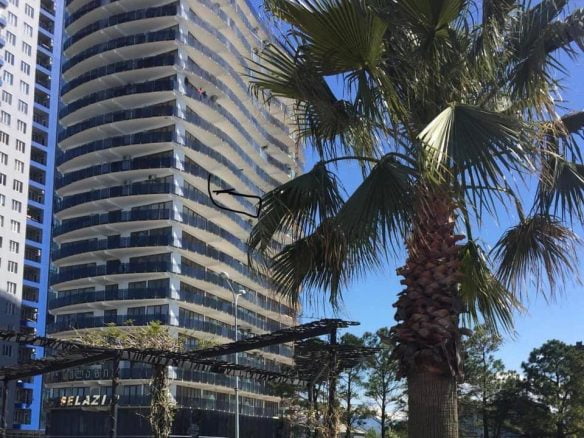 იყიდება რესტორანი პირველ ხაზზე დიდი ტერასით ზღვის ხედით