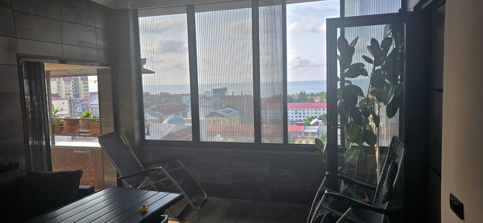 WhatsApp Image 2025-09-04 at 12.45.09