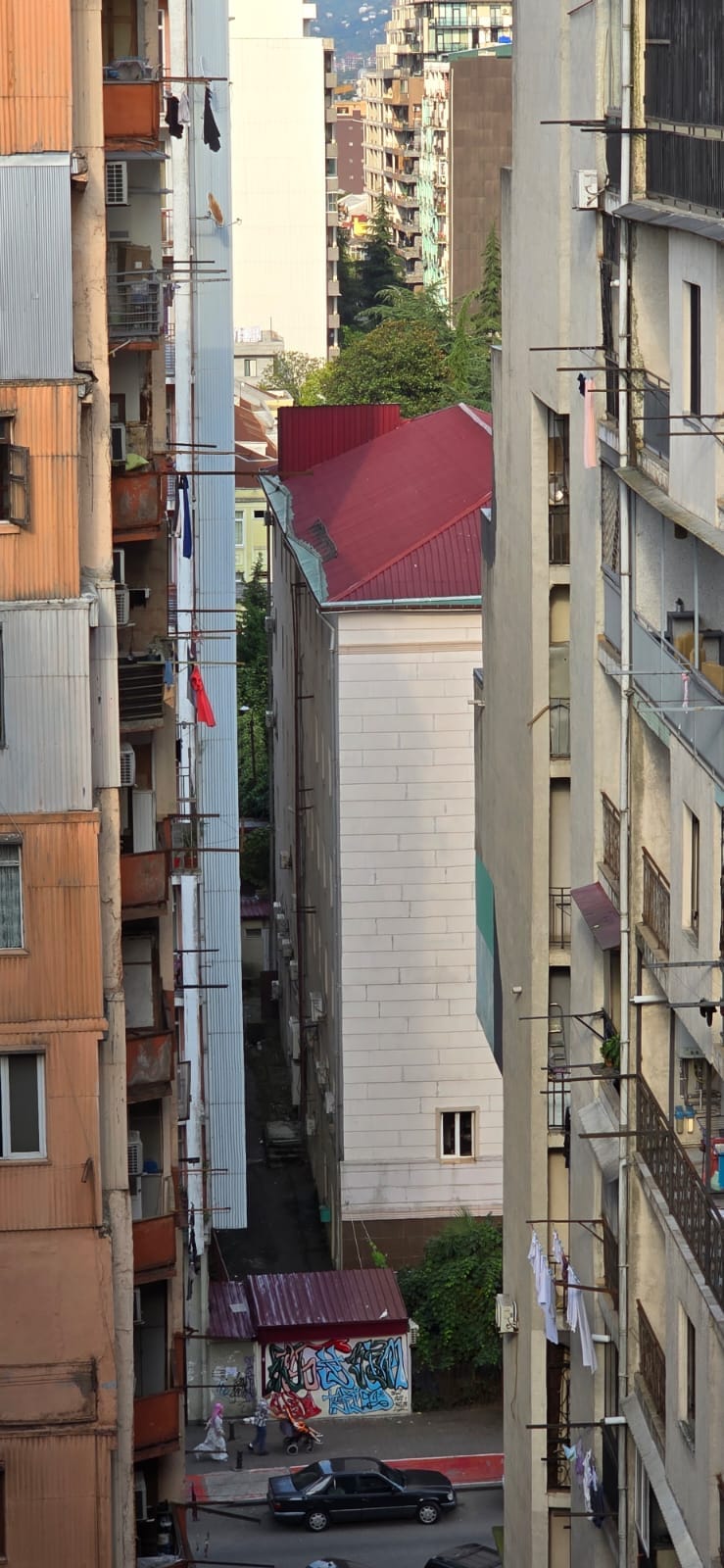 WhatsApp Image 2025-09-04 at 12.46.55